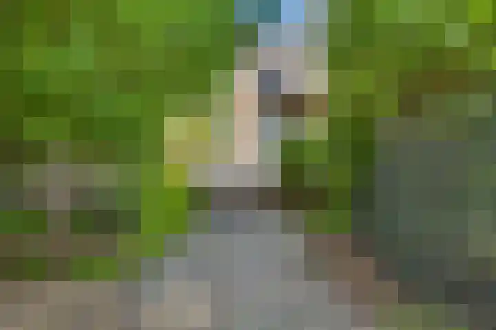 De Wulp 32 Vriezenveen thumbnail 27