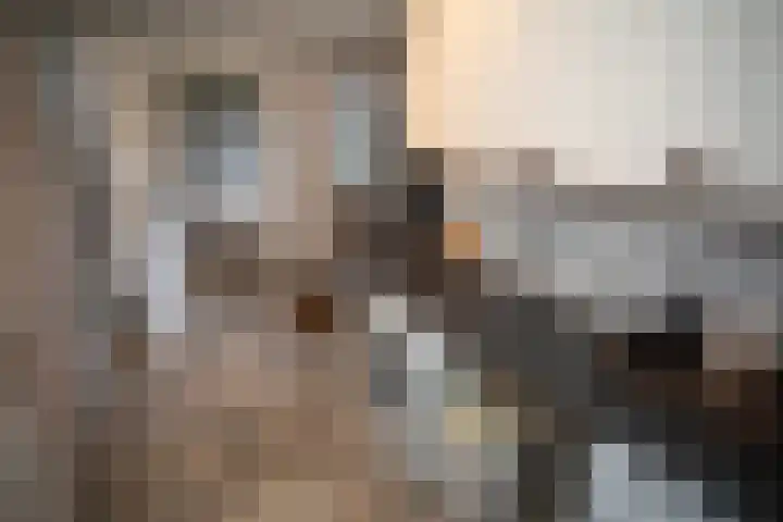De Wulp 32 Vriezenveen thumbnail 30