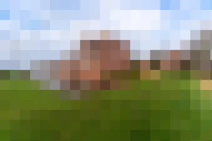 De Wulp 32 Vriezenveen thumbnail 31