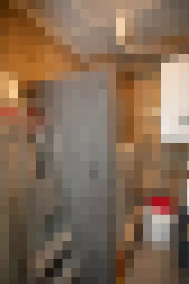 De Wulp 32 Vriezenveen thumbnail 31