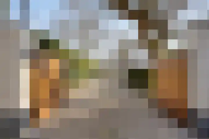 De Wulp 32 Vriezenveen thumbnail 34