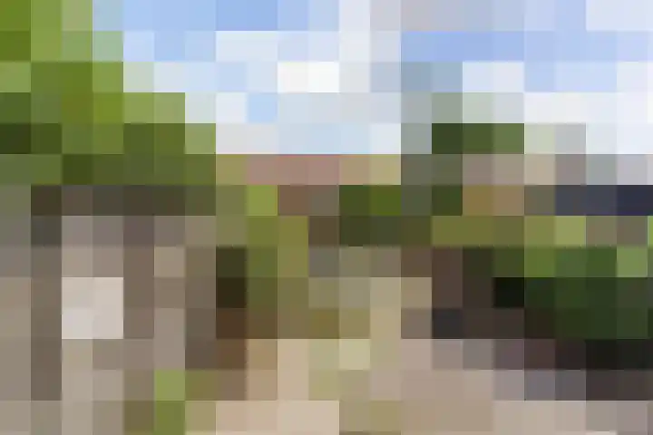 De Wulp 32 Vriezenveen thumbnail 43