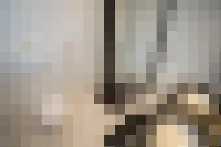 De Wulp 32 Vriezenveen thumbnail 43