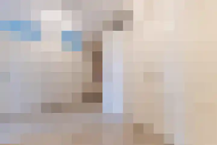 De Wulp 32 Vriezenveen thumbnail 52