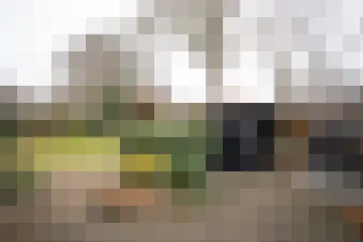 De Wulp 32 Vriezenveen thumbnail 52