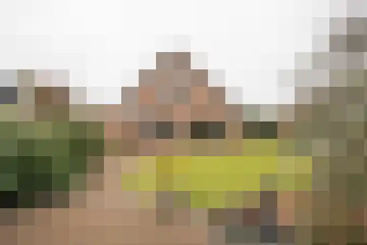 De Wulp 32 Vriezenveen thumbnail 57
