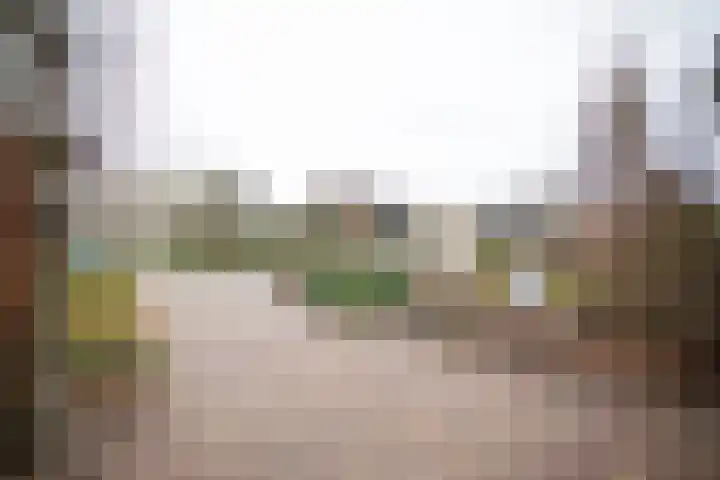 De Wulp 32 Vriezenveen thumbnail 6