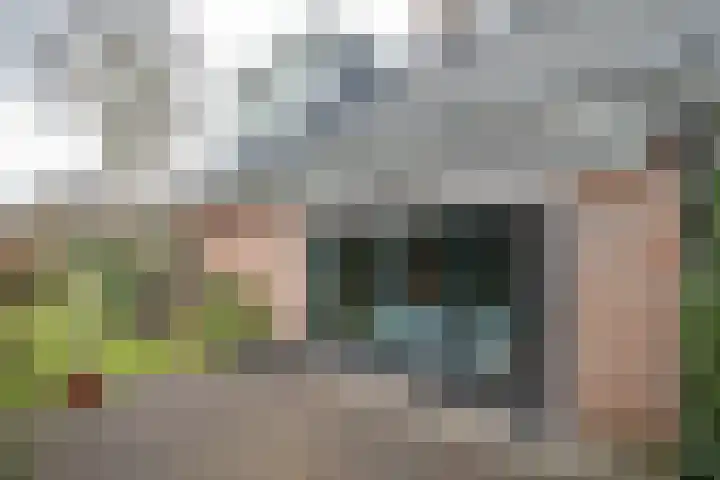 De Wulp 32 Vriezenveen thumbnail 61