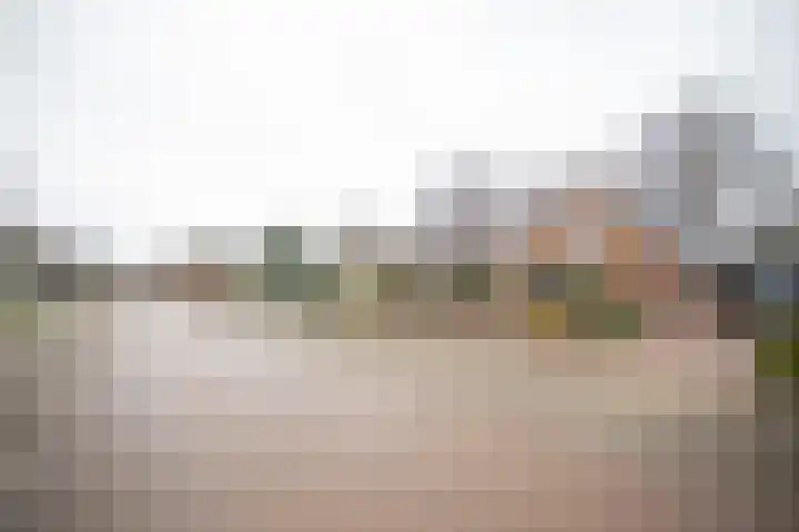 De Wulp 32 Vriezenveen thumbnail 63