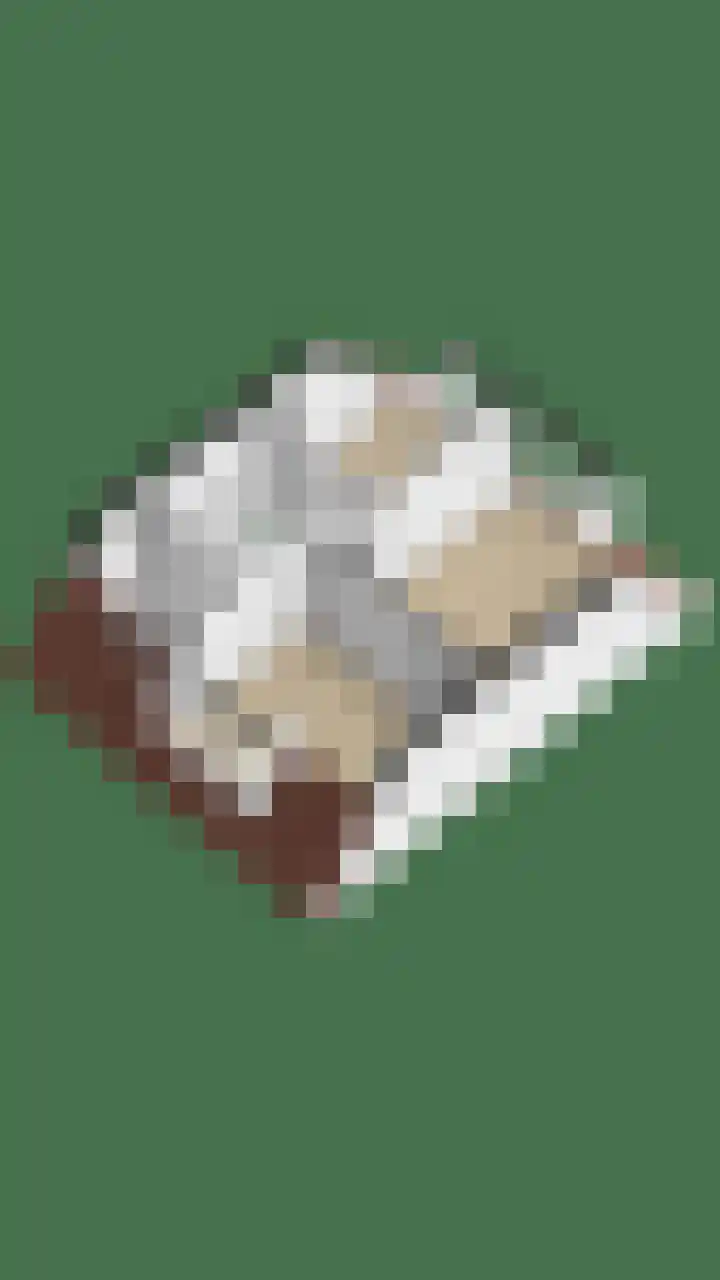 De Wulp 32 Vriezenveen thumbnail 67