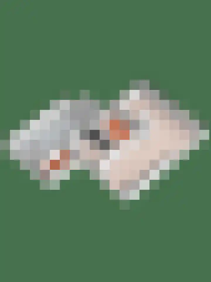 De Wulp 32 Vriezenveen thumbnail 67