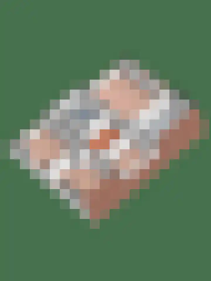 De Wulp 32 Vriezenveen thumbnail 69