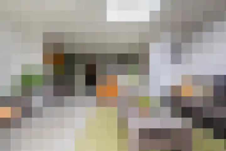 De Wulp 48 Hoogeveen thumbnail 15