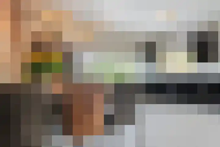 De Wulp 48 Hoogeveen thumbnail 19
