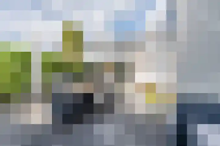 De Wulp 48 Hoogeveen thumbnail 38