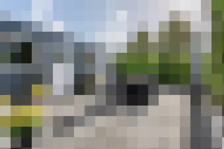 De Wulp 48 Hoogeveen thumbnail 39