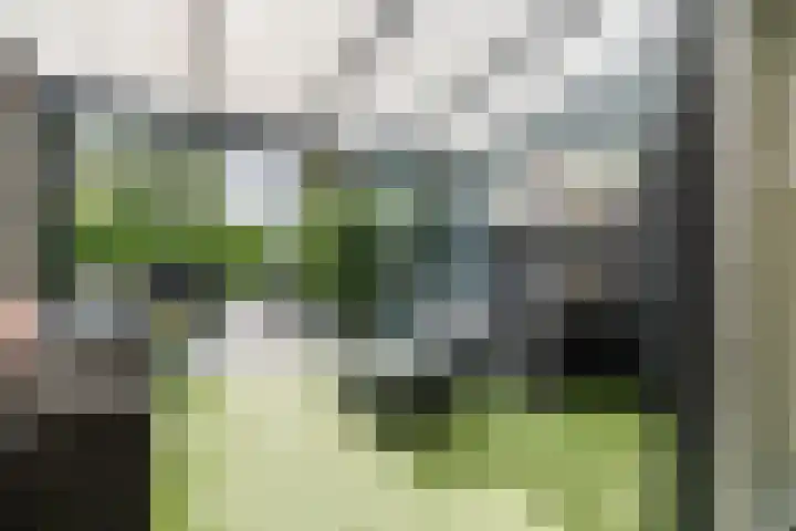 De Wulp 48 Hoogeveen thumbnail 5
