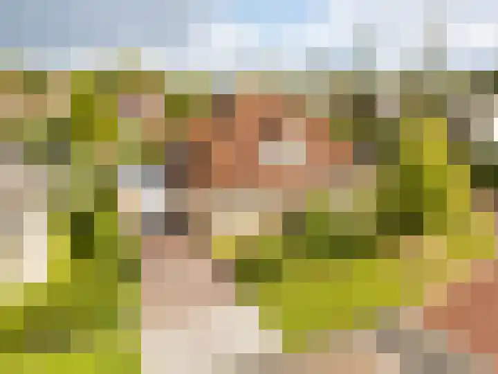 De Wurdze 11 Balk