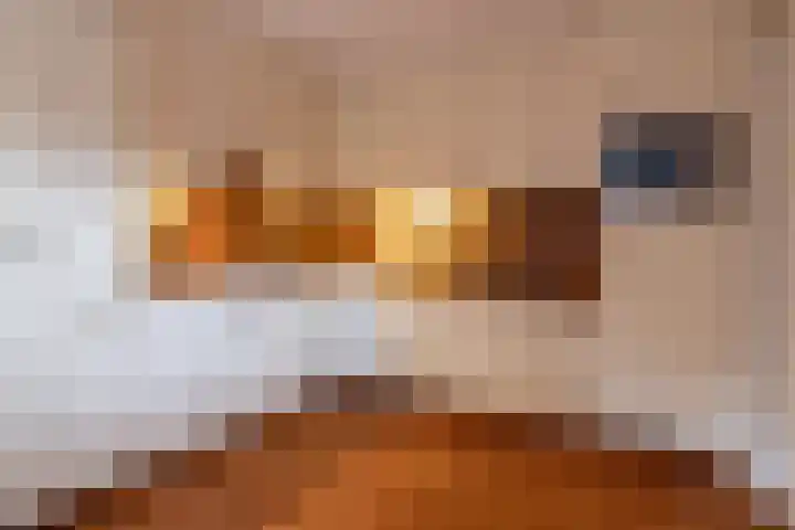De Wurdze 11 Balk thumbnail 13