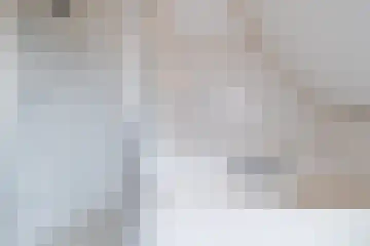 De Wurdze 11 Balk thumbnail 32