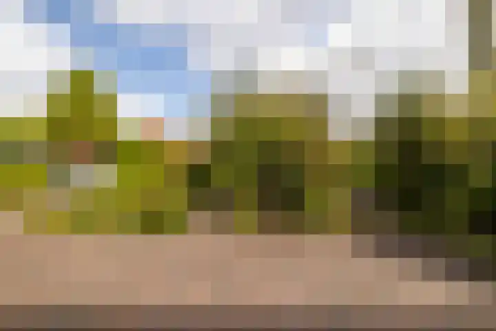 De Wurdze 11 Balk thumbnail 36