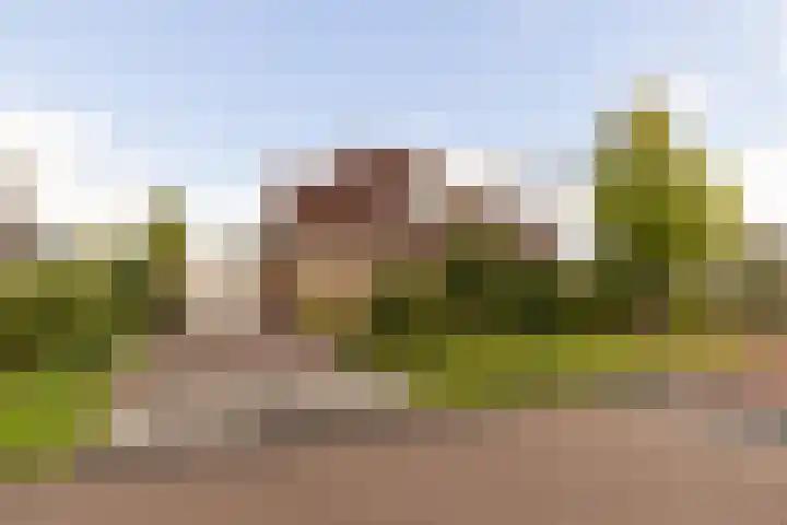 De Wurdze 11 Balk thumbnail 37