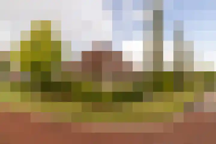 De Wurdze 11 Balk thumbnail 38