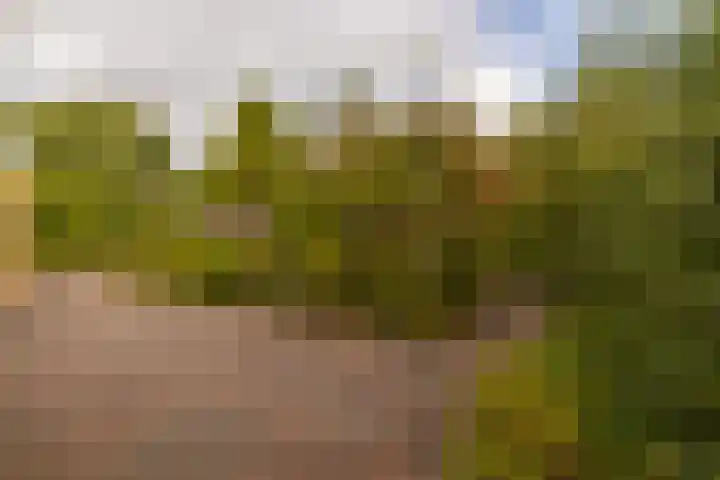 De Wurdze 11 Balk thumbnail 40
