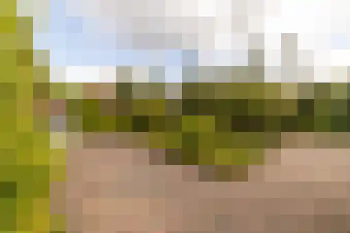 De Wurdze 11 Balk thumbnail 41