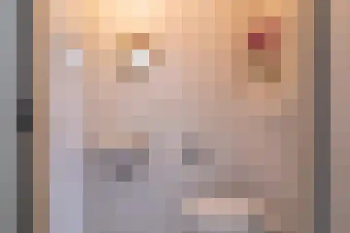 De Wurdze 11 Balk thumbnail 7