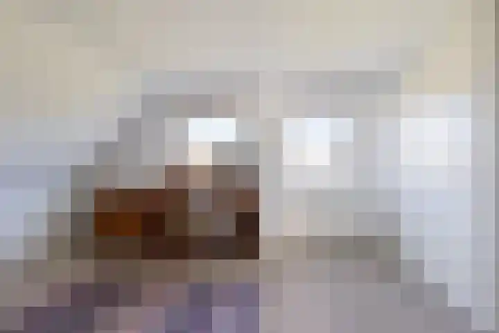 De Wurdze 35 Balk thumbnail 15