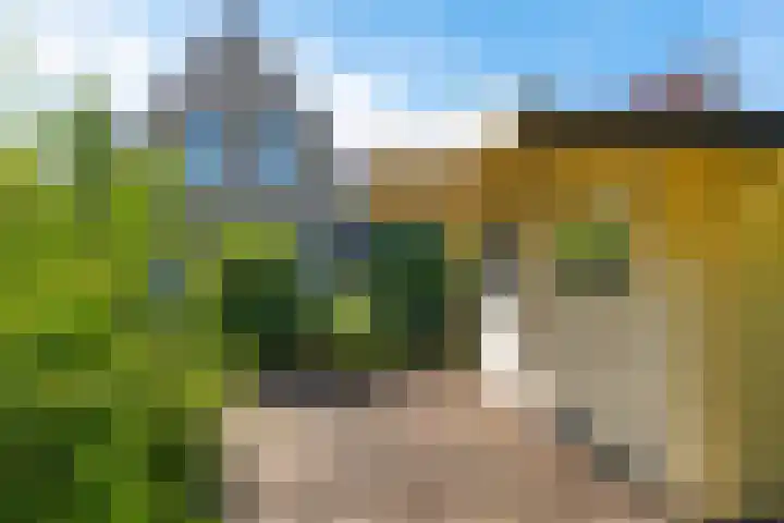 De Wurdze 35 Balk foto 2