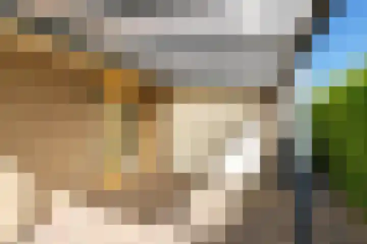 De Wurdze 35 Balk thumbnail 26