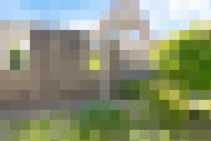 De Wurdze 35 Balk thumbnail 30