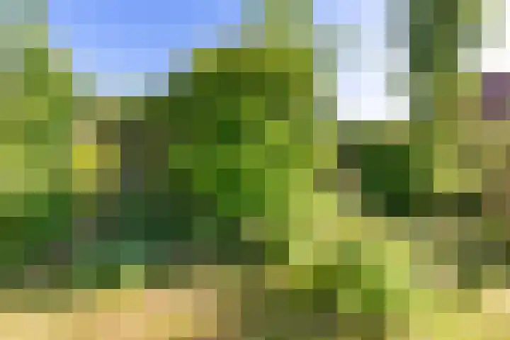De Wurdze 35 Balk thumbnail 39