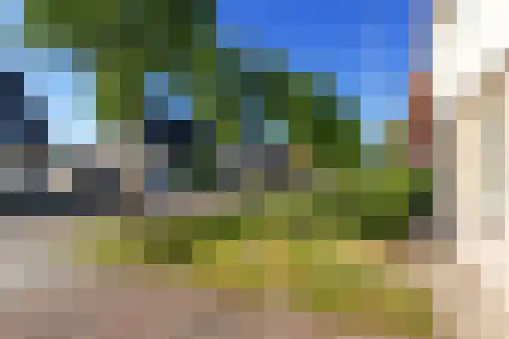 De Wurdze 35 Balk thumbnail 40