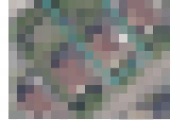 De Wurdze 35 Balk thumbnail 47