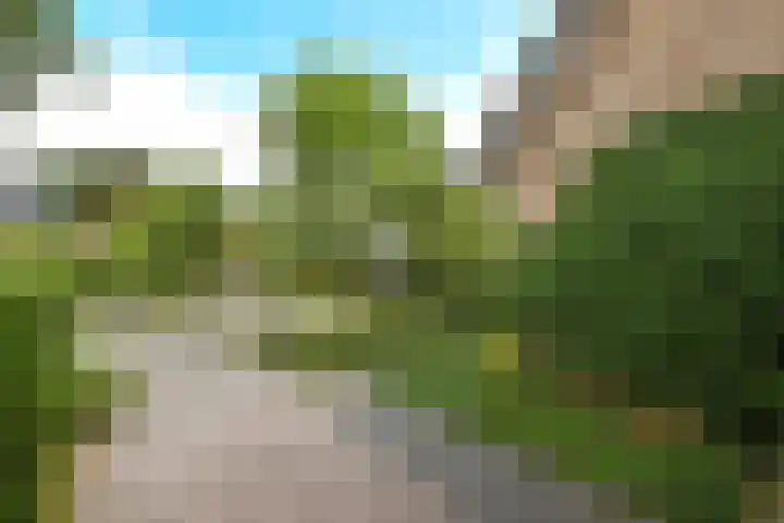 De Wuurde 33 Elst thumbnail 10