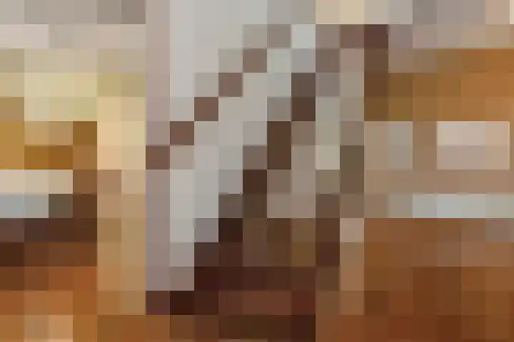 De Wuurde 33 Elst thumbnail 24