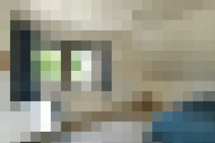 De Wuurde 33 Elst thumbnail 55