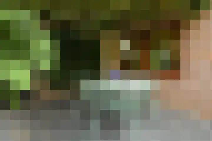 De Wuurde 33 Elst thumbnail 71