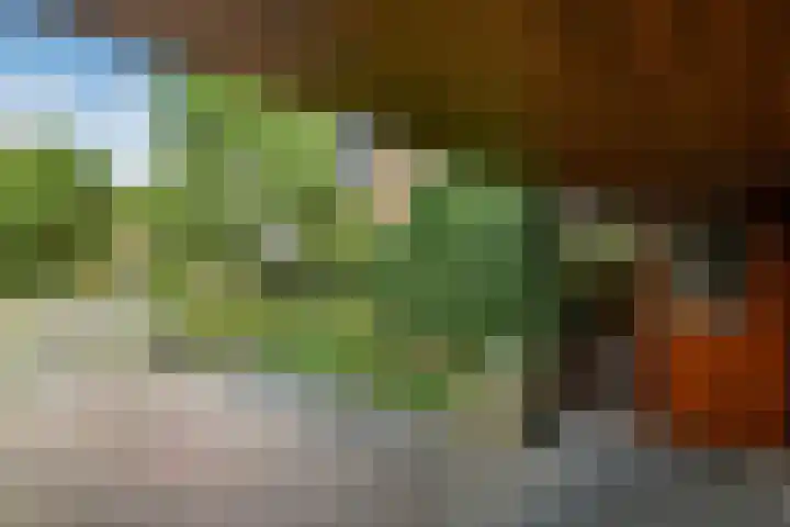 De Wuurde 33 Elst thumbnail 9