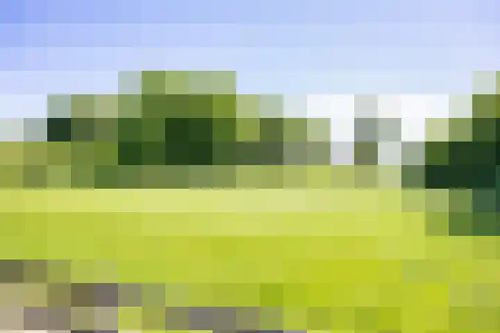 De Wymerts 1 Molkwerum thumbnail 10