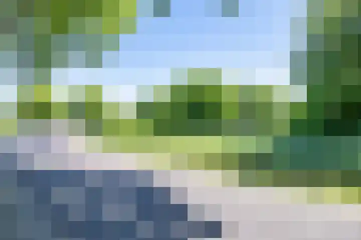 De Wymerts 1 Molkwerum thumbnail 11