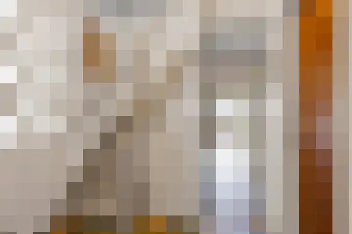 De Wymerts 1 Molkwerum thumbnail 20