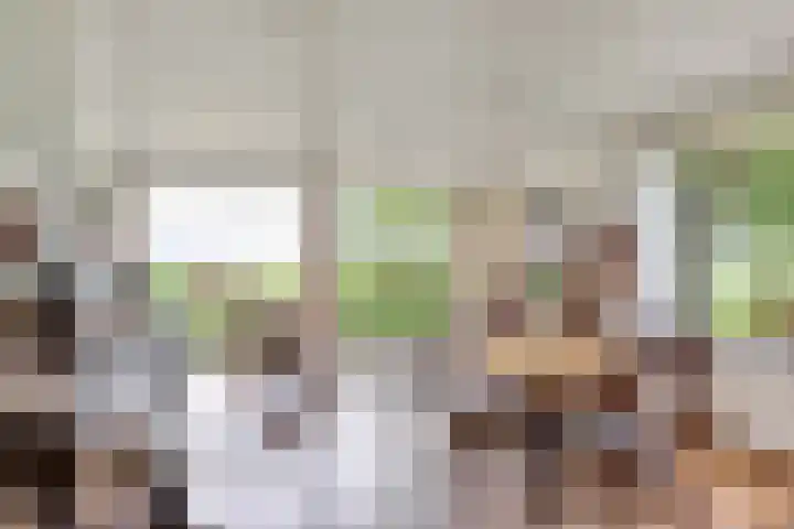 De Wymerts 1 Molkwerum thumbnail 22