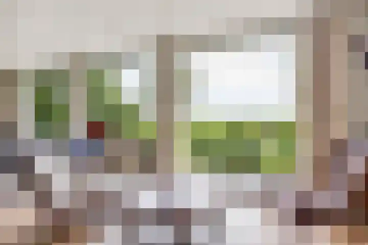 De Wymerts 1 Molkwerum thumbnail 25