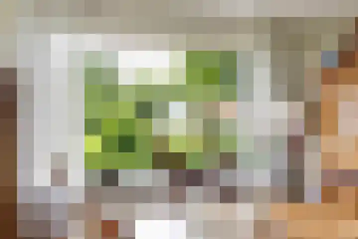 De Wymerts 1 Molkwerum thumbnail 28