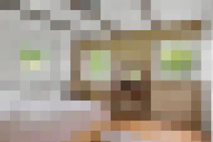De Wymerts 1 Molkwerum thumbnail 33