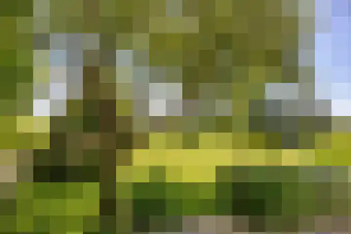 De Wymerts 1 Molkwerum thumbnail 50